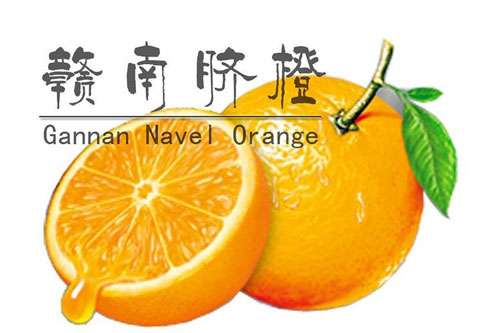 赣南脐橙价格