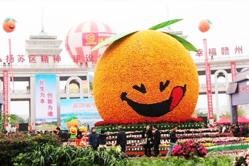 脐橙节