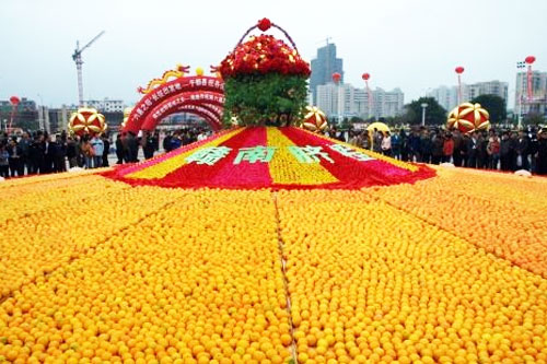 赣州脐橙节